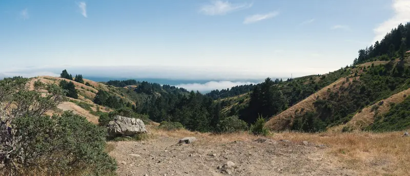 Photo of golden hills, forest and the ocean from the Dipsea trail